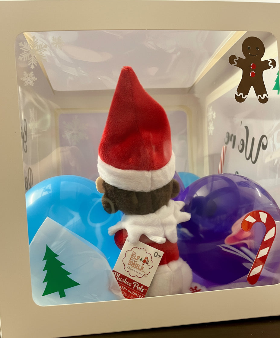 Elf Arrival Box / 1st December Box / Christmas Eve Box